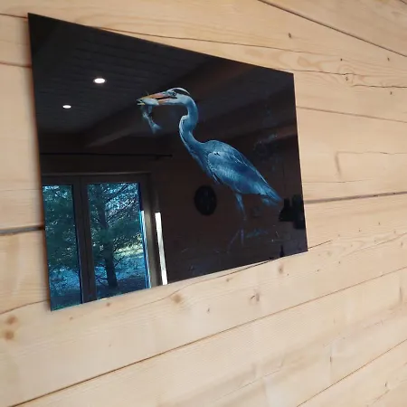 Ptasi Przyladek Appartement *