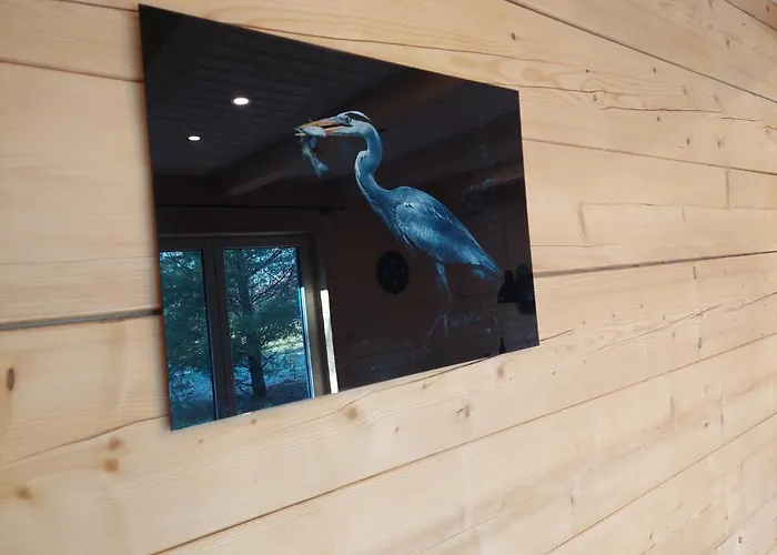 Ptasi Przyladek Apartmán *